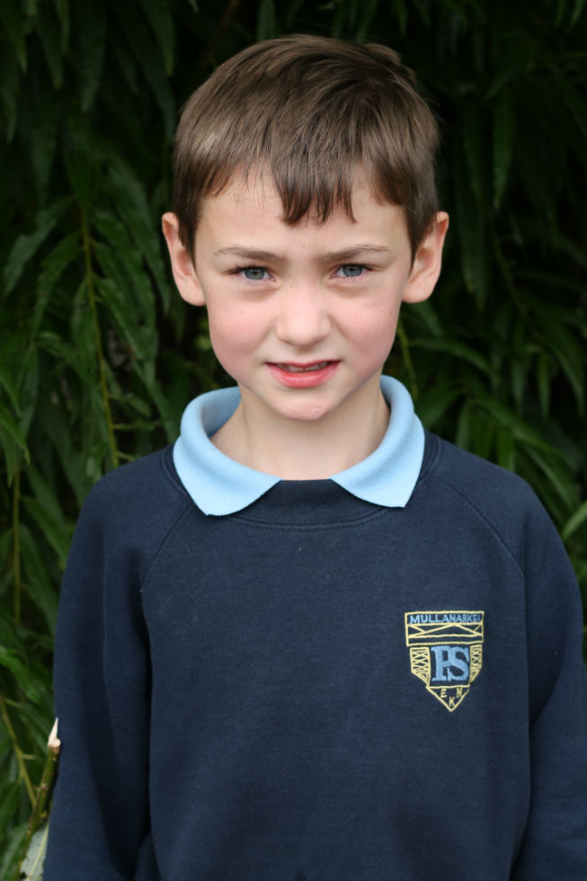 New Eco School Members